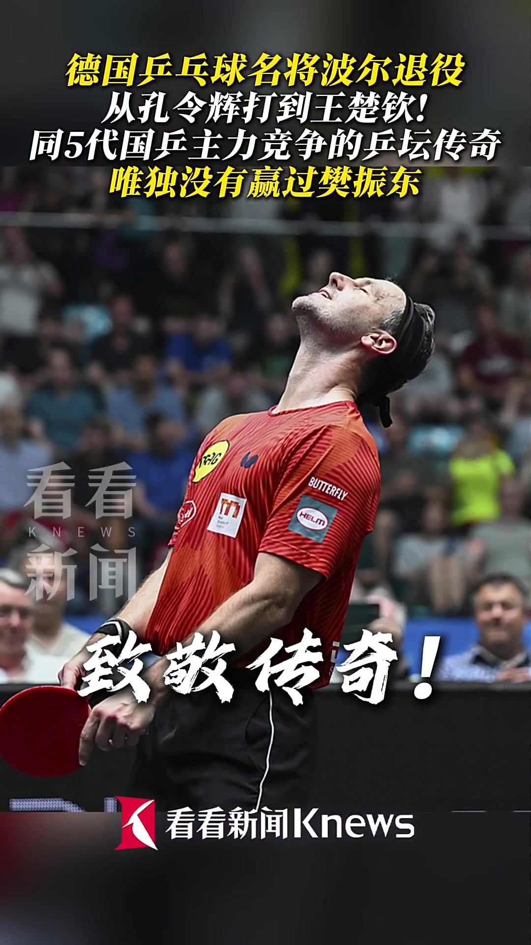 奥地利乒乓球队强势韩国乒乓球队,波尔高光表现的简单介绍 奥地利乒乓球队强势韩国乒乓球队,波尔高光表现的简单介绍