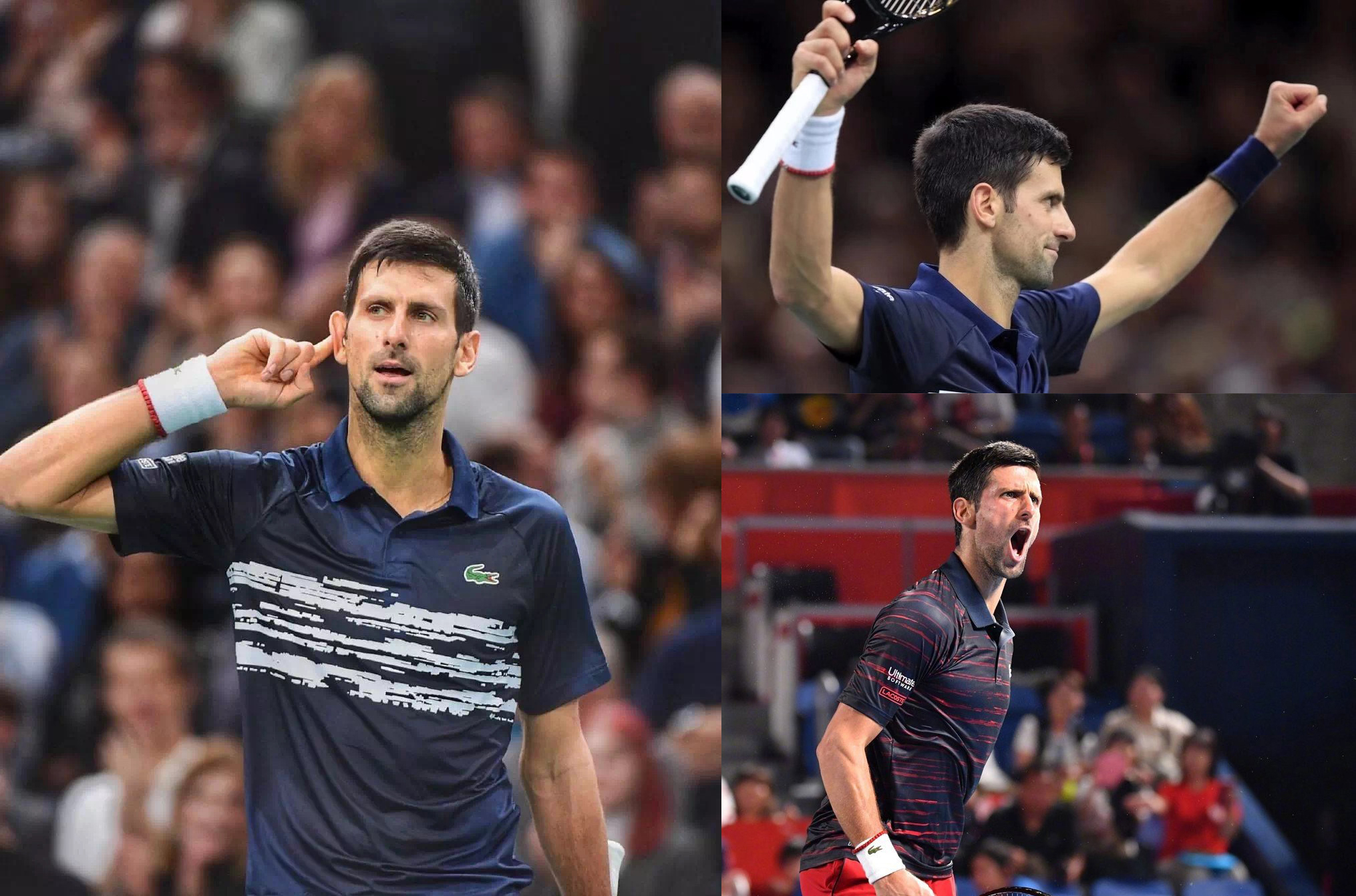 包含游泳传奇仍然不败，夺金再传捷报的词条